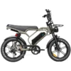 V20 Limited - Bruin