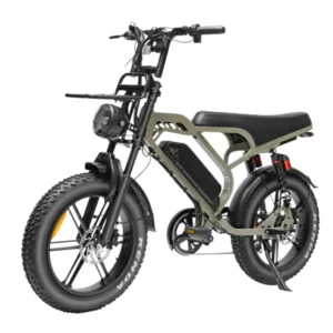 V20 Limited - Bruin